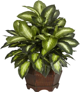 Mellie Green Dieffenbachia Silk Plant