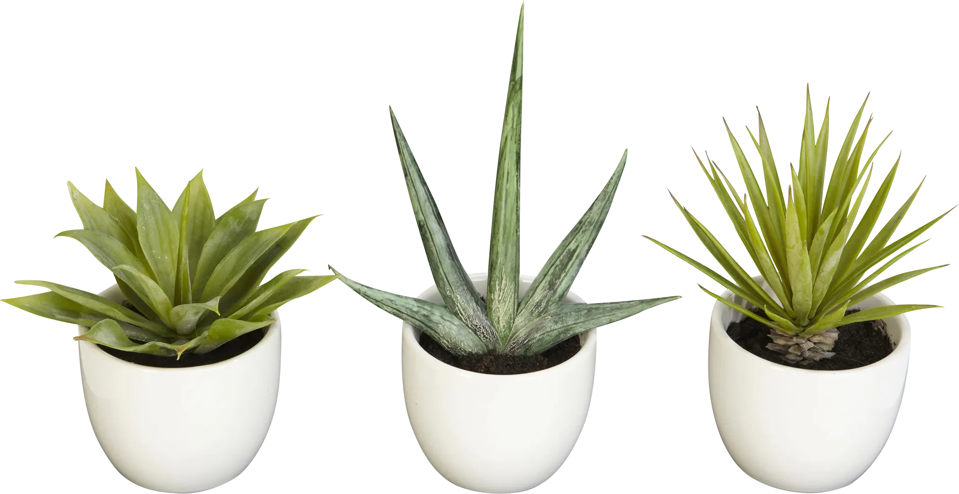 Elide Green Silk Plant, Set of 3