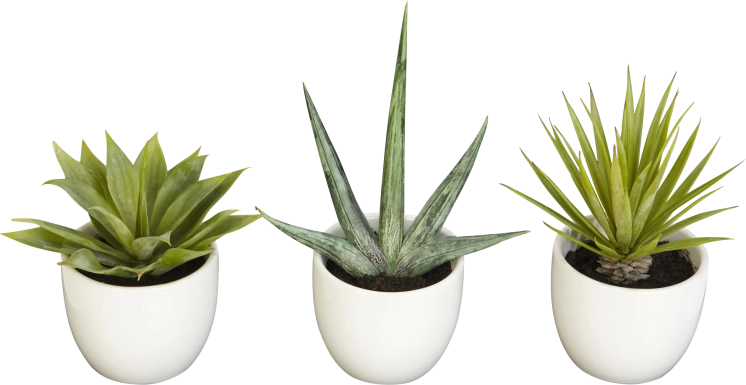 Elide Green Silk Plant, Set of 3