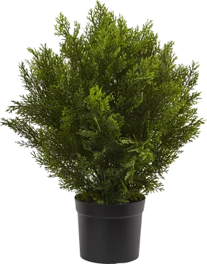 Rodel Green Cedar Indoor/Outdoor Silk Plant