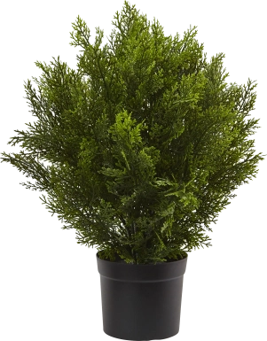 Rodel Green Cedar Indoor/Outdoor Silk Plant
