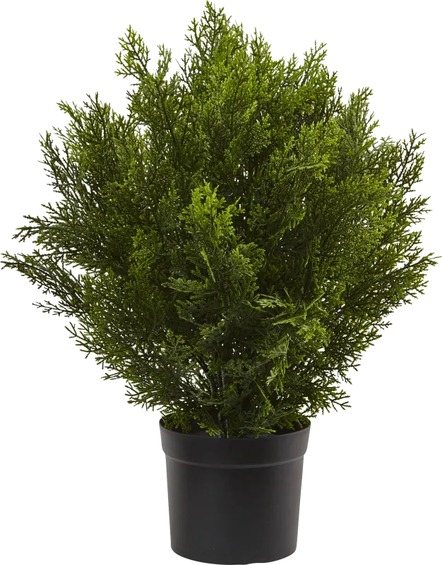 Rodel Green Cedar Indoor/Outdoor Silk Plant