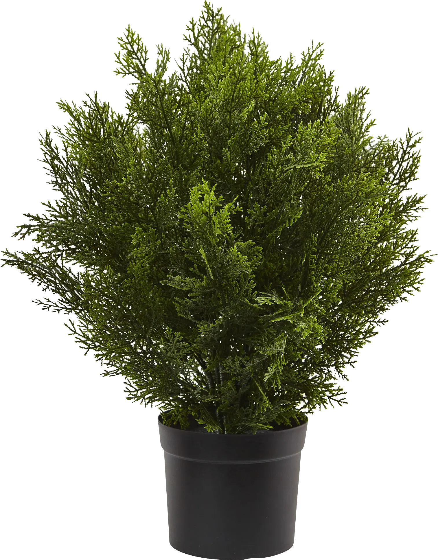 Rodel Green Cedar Indoor/Outdoor Silk Plant
