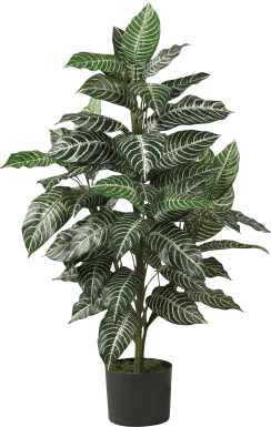 Dynah Green Zebra Silk Plant