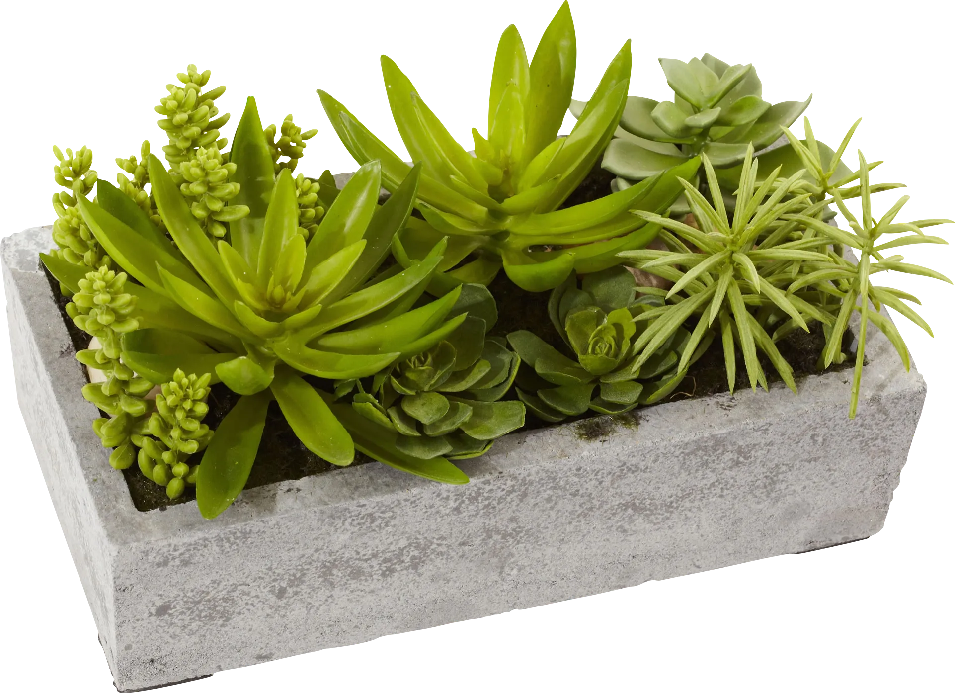Janey Green Succulent Silk Plant - Thumbnail - Image 1