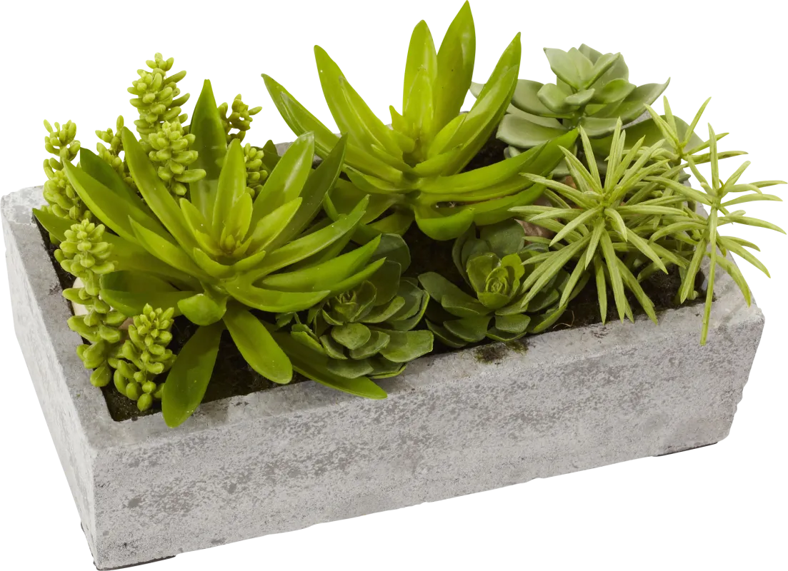 Janey Green Succulent Silk Plant