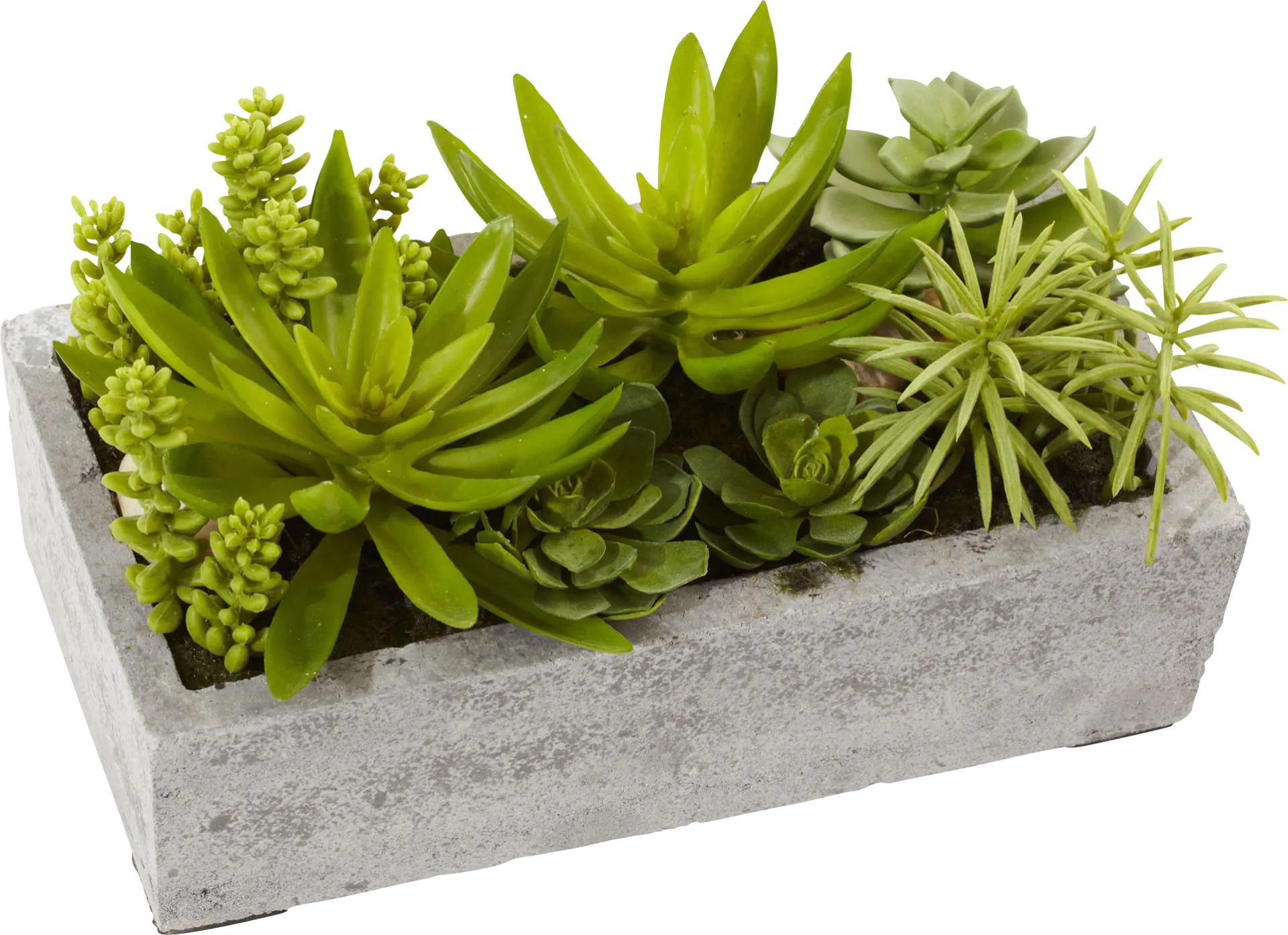 Janey Green Succulent Silk Plant - Image 1