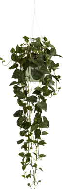 Tamsyn Green Philodendron Silk Plant