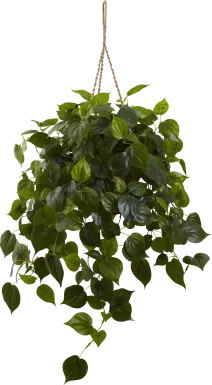 Shalisa Green Philodendron Indoor/Outdoor Silk Plant