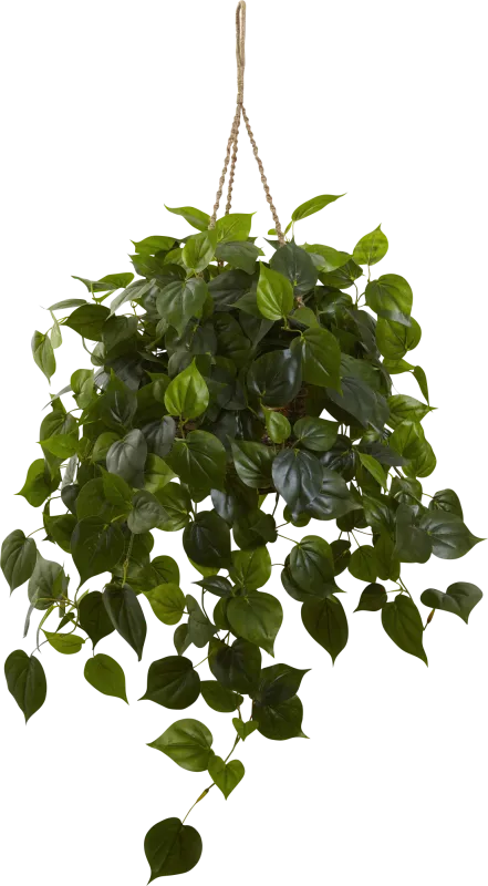 Shalisa Green Philodendron Indoor/Outdoor Silk Plant