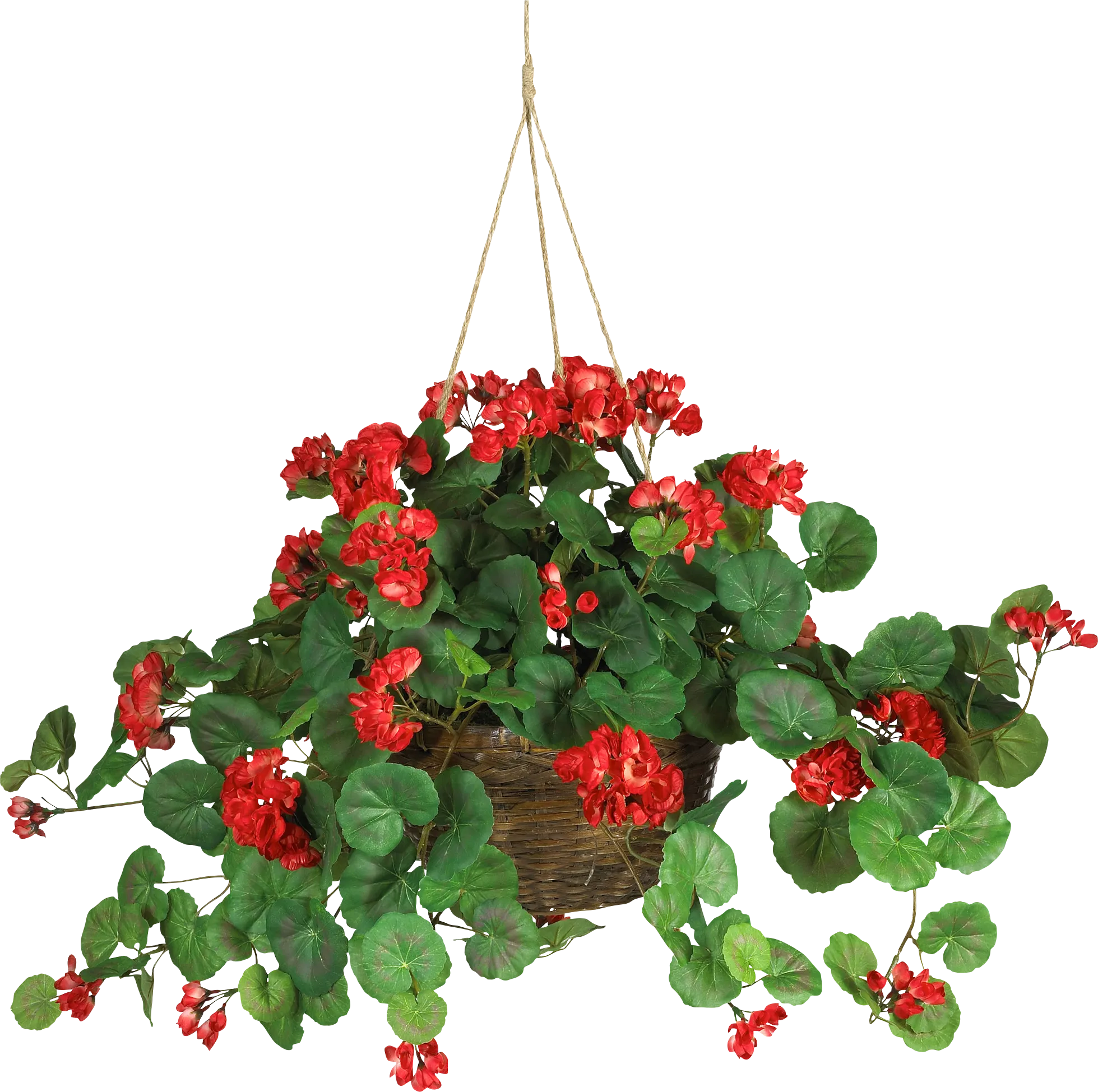 Edalyn Red Geranium Silk Plant - Thumbnail - Image 1