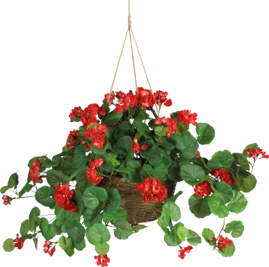 Edalyn Red Geranium Silk Plant
