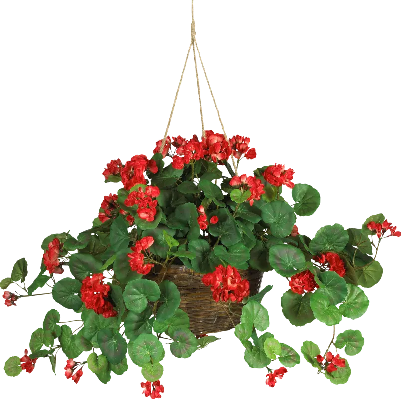 Edalyn Red Geranium Silk Plant