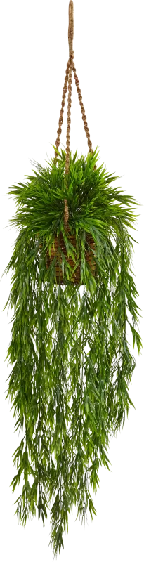 Janeli Green Bamboo Silk Plant