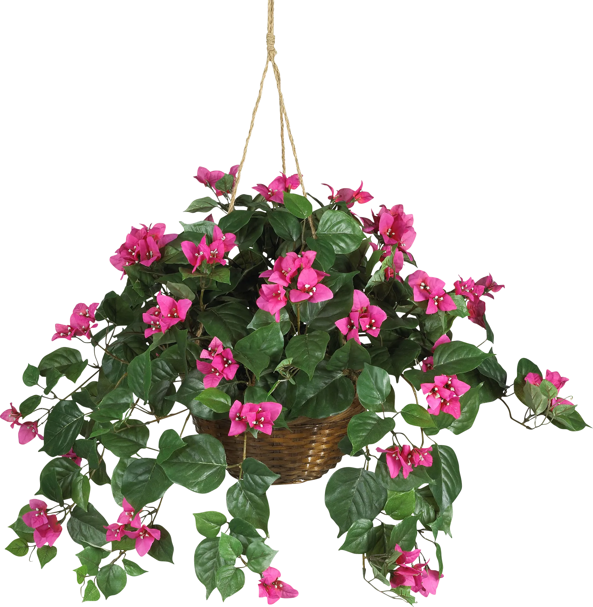 Jonelle Pink Bougainvillea Silk Plant - Thumbnail - Image 1