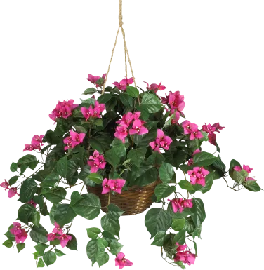 Jonelle Pink Bougainvillea Silk Plant