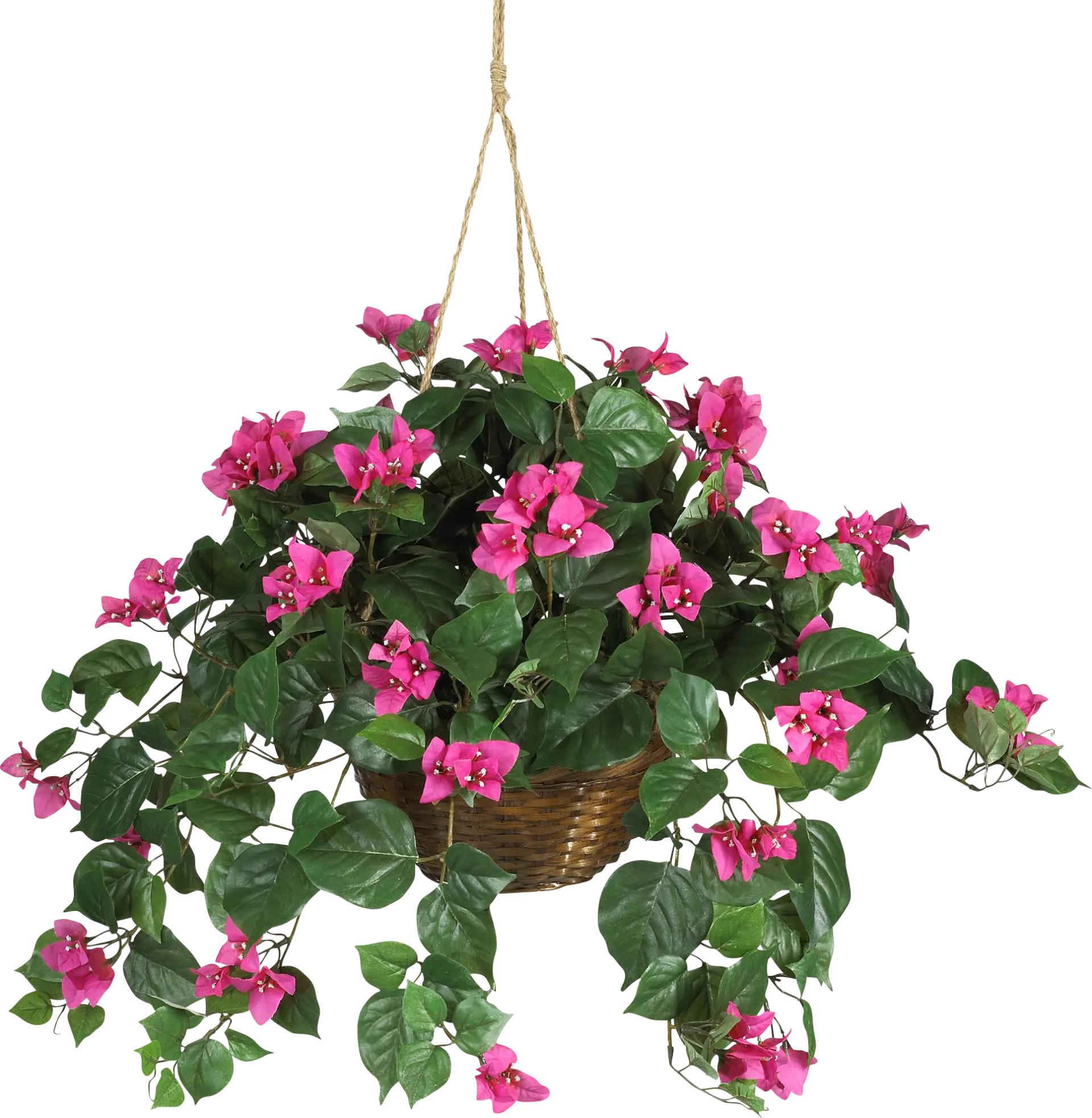 Jonelle Pink Bougainvillea Silk Plant