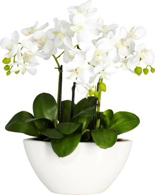 Estella Green Orchid Silk Floral