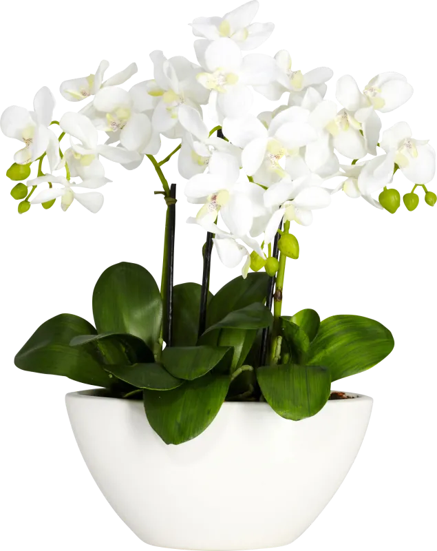 Estella Green Orchid Silk Floral