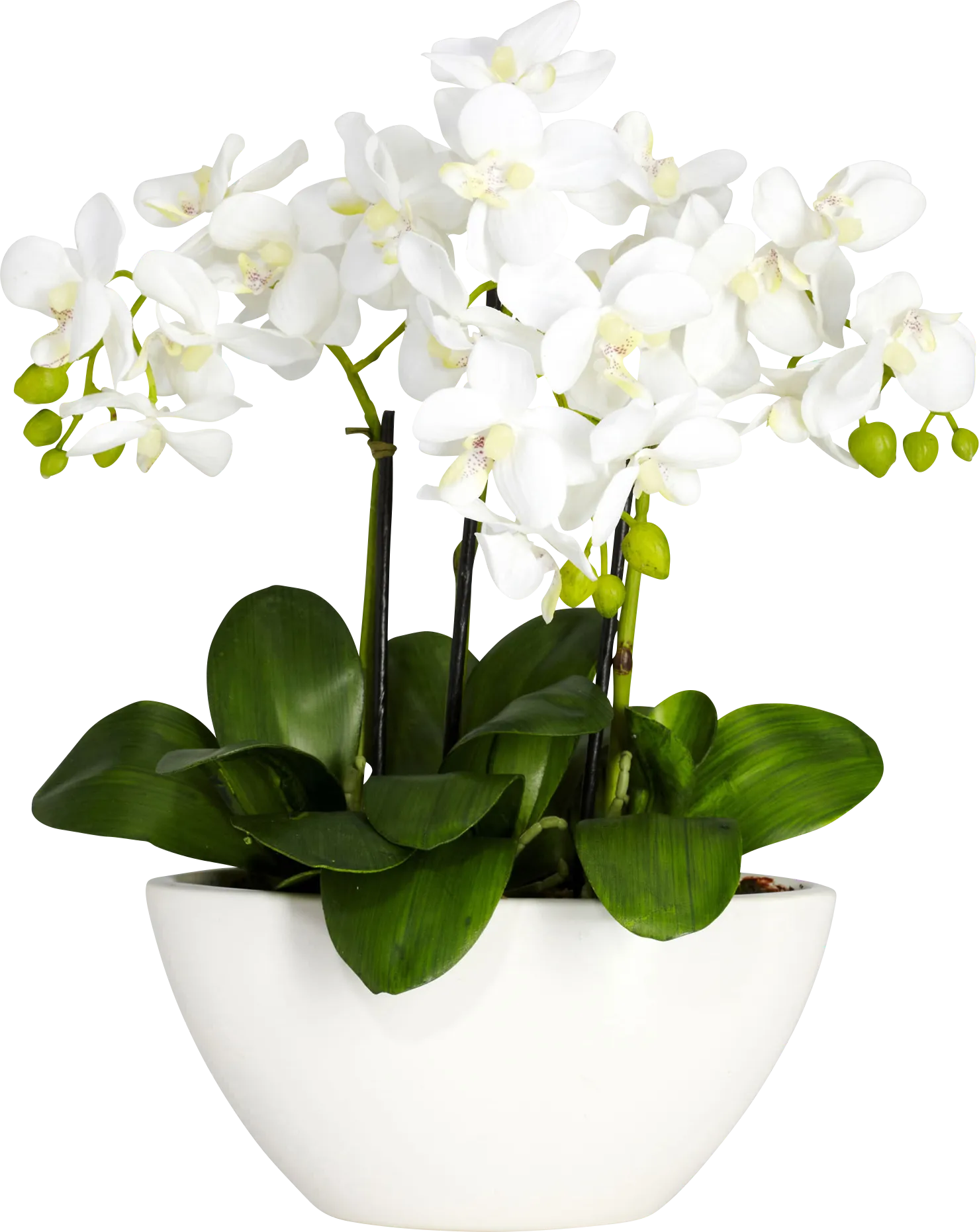 Estella Green Orchid Silk Floral - Image 1