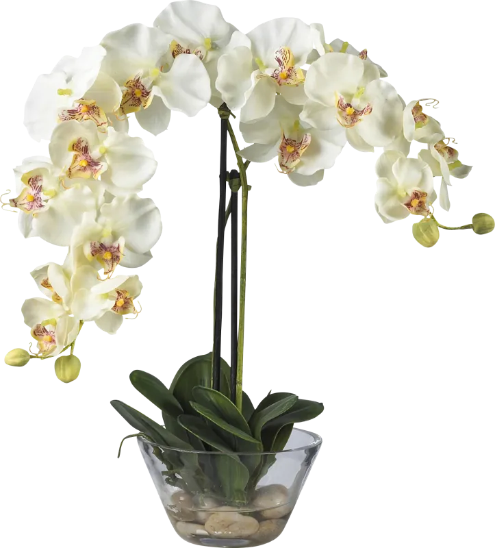 Saidy Green Orchid Silk Floral