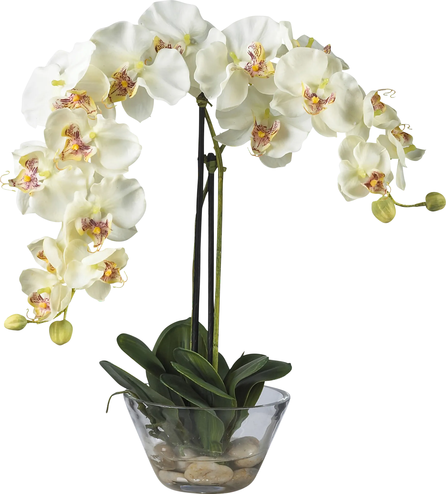 Saidy Green Orchid Silk Floral - Image 1