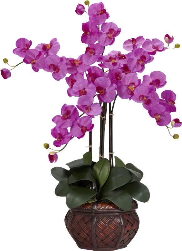 Criselda Purple Orchid Silk Floral