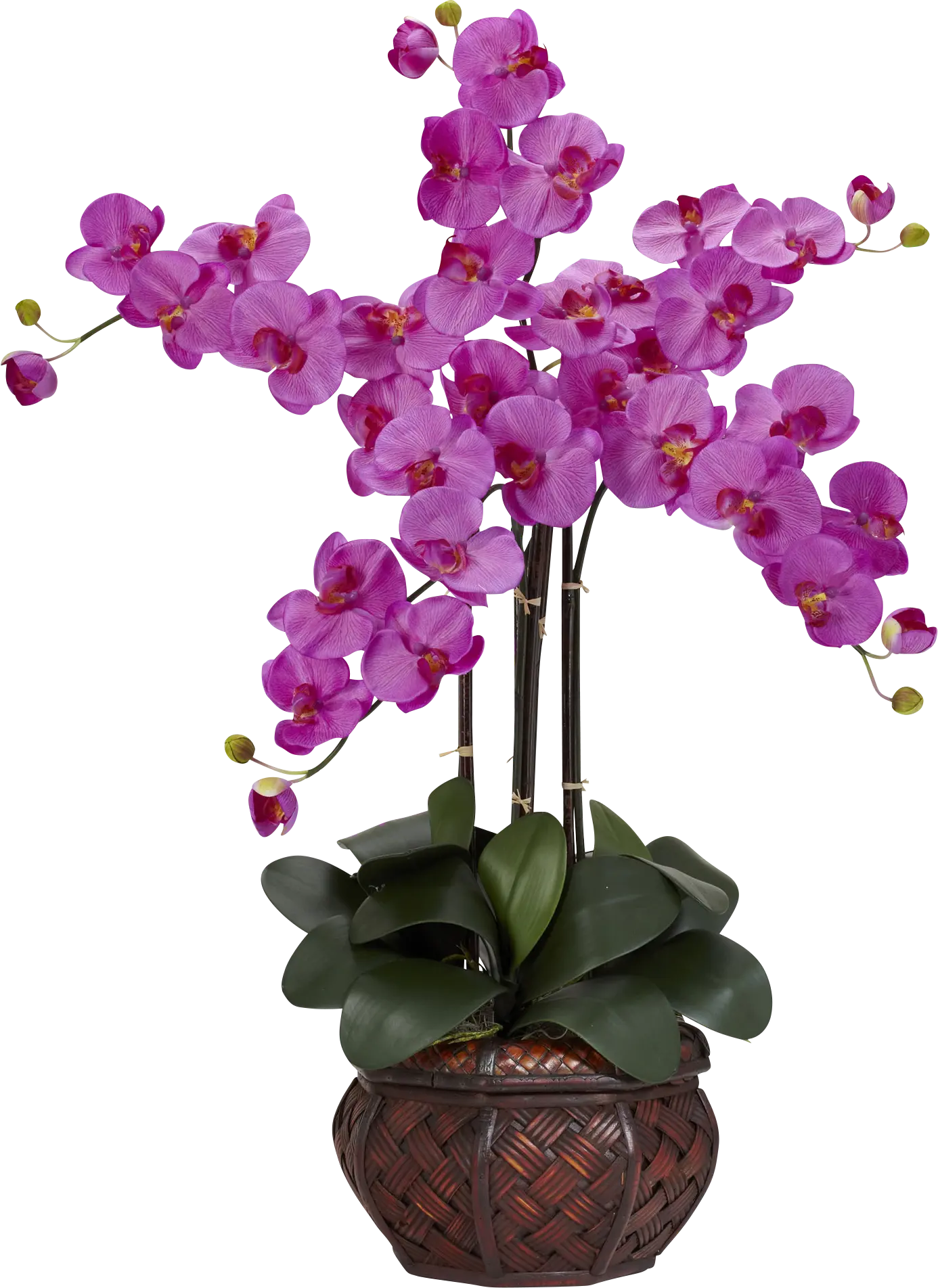 Criselda Purple Orchid Silk Floral