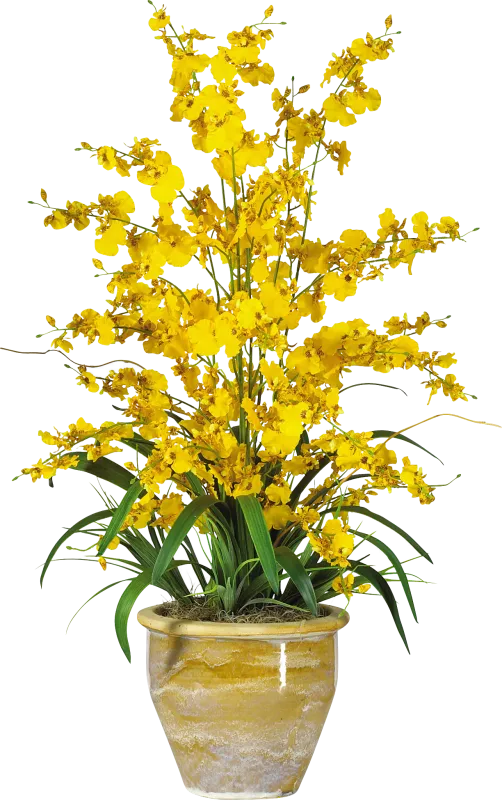 Evannie Yellow Orchid Silk Floral