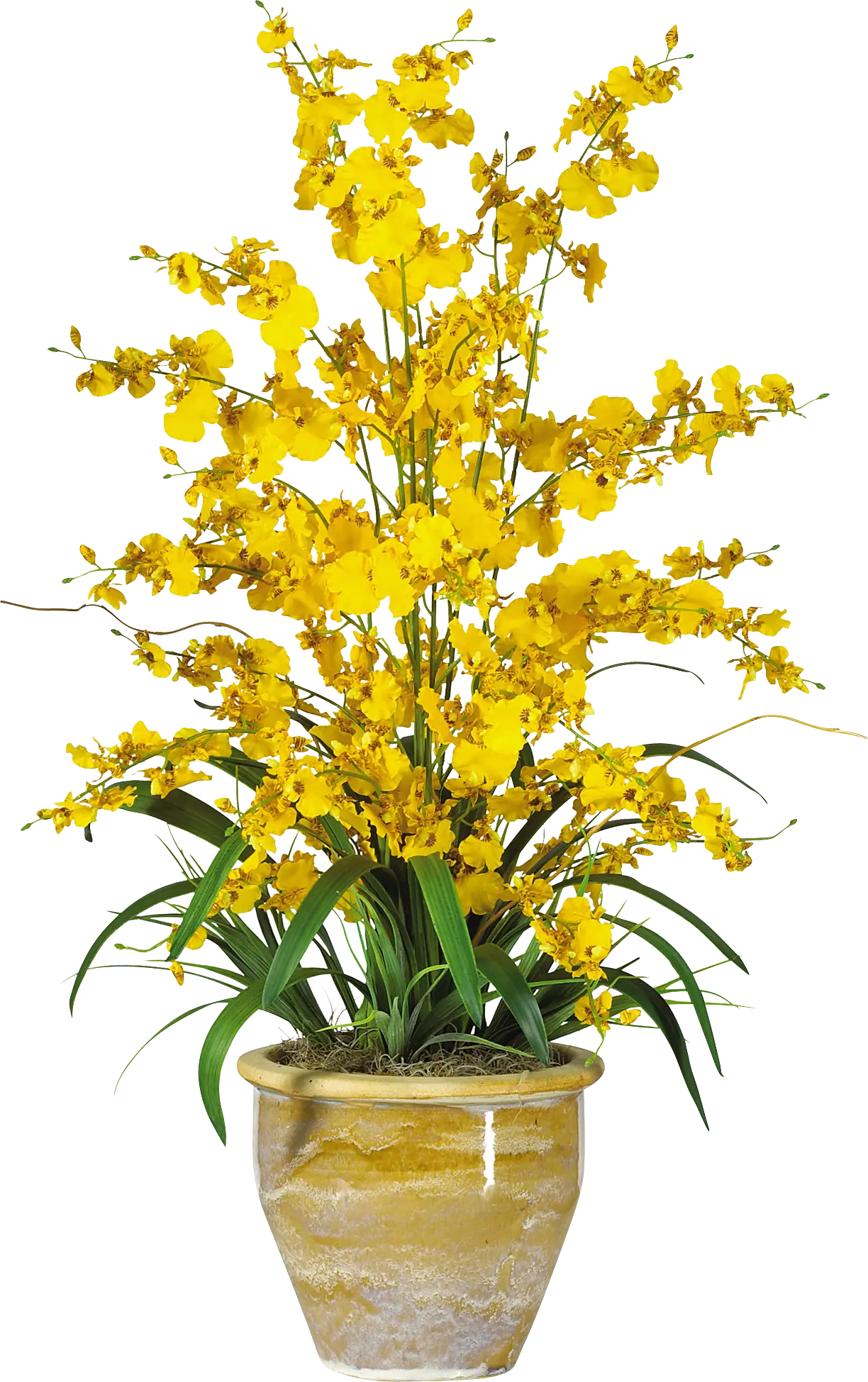 Evannie Yellow Orchid Silk Floral