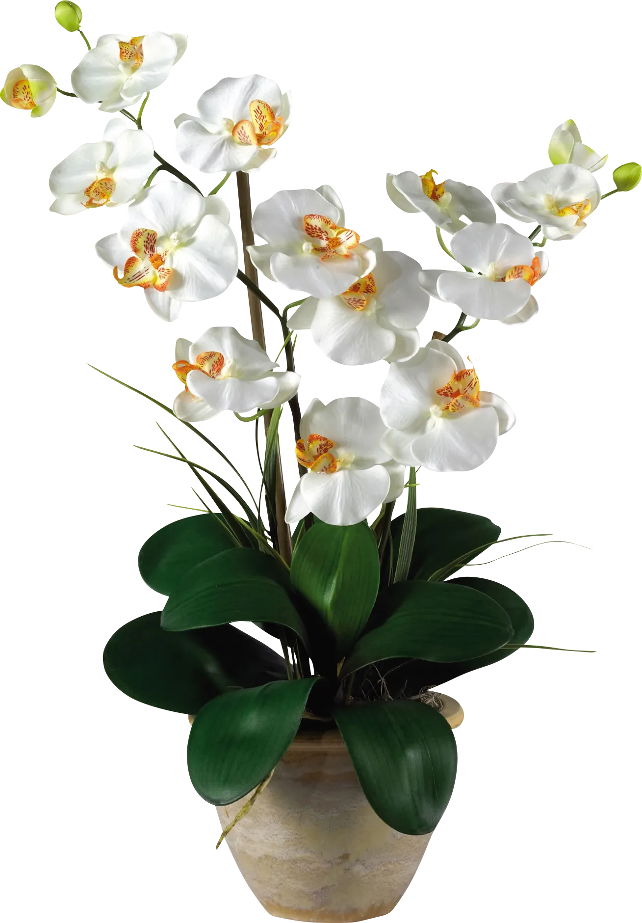 Maelyn White Orchid Silk Floral - Image 1
