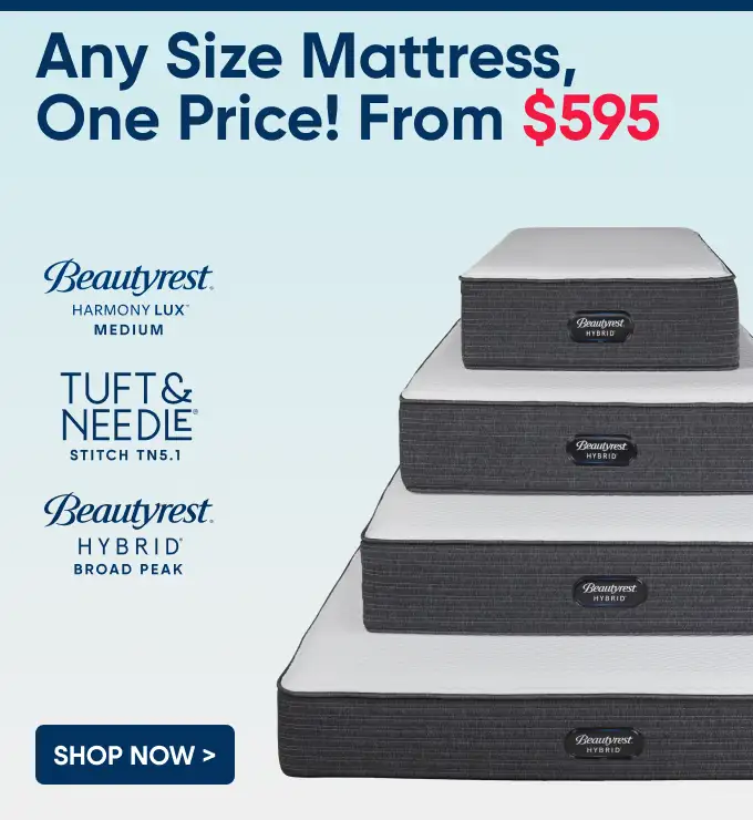 Any Size Mattress, One Price! From $595. Shop Now.
