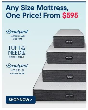 Any Size Mattress, One Price! From $595. Shop Now.
