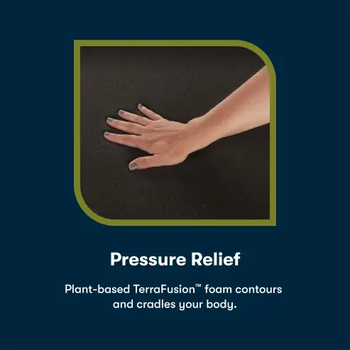 2000x2000_iComfortECO_Foam_Pressure_Relief_F10_MD (1) 1 (2).png