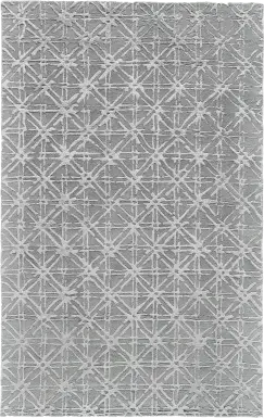 Hapi Gray 8' x 11' Rug