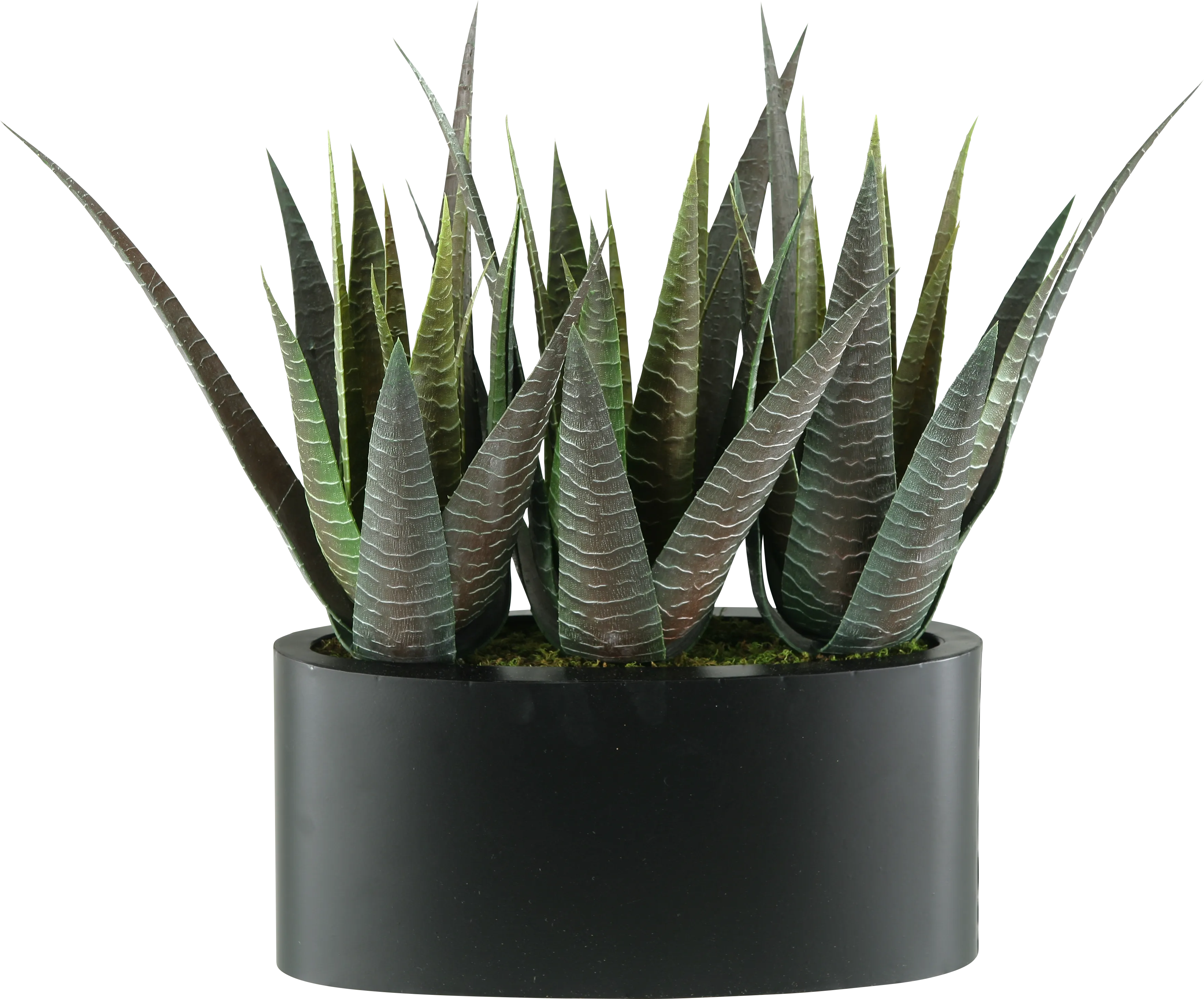 Zayin Green Agave Silk Plant