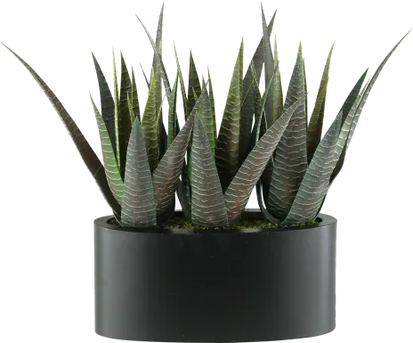 Zayin Green Agave Silk Plant