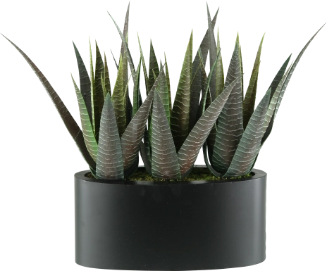 Zayin Green Agave Silk Plant