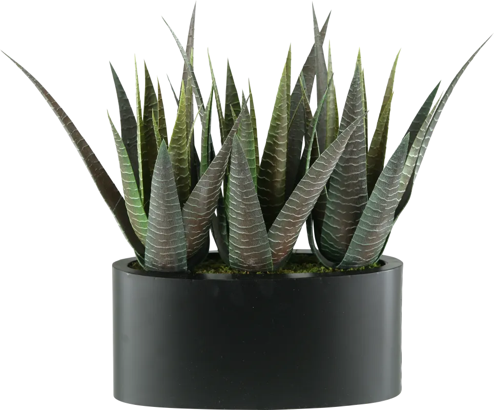 Zayin Green Agave Silk Plant