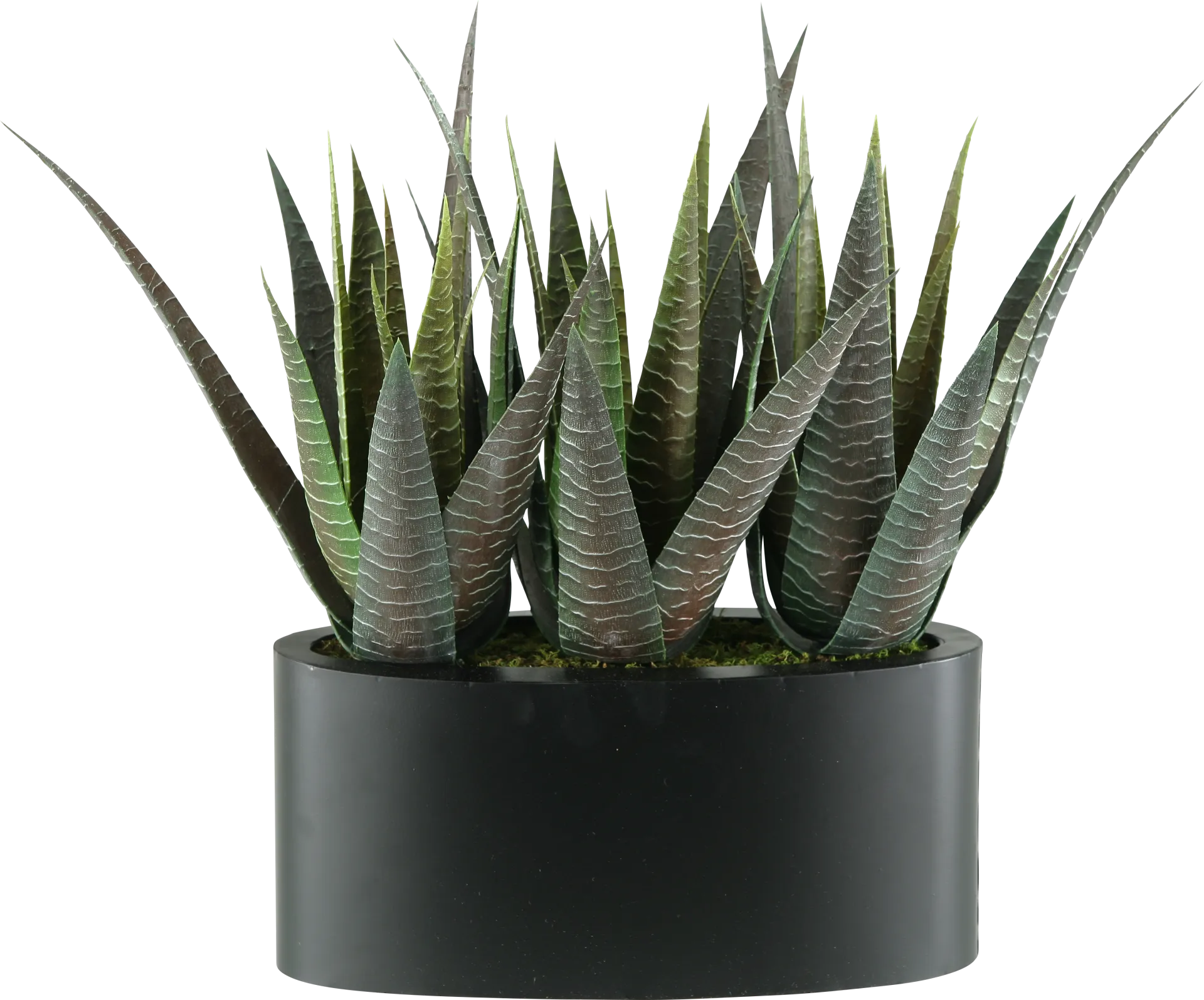 Zayin Green Agave Silk Plant - Image 1