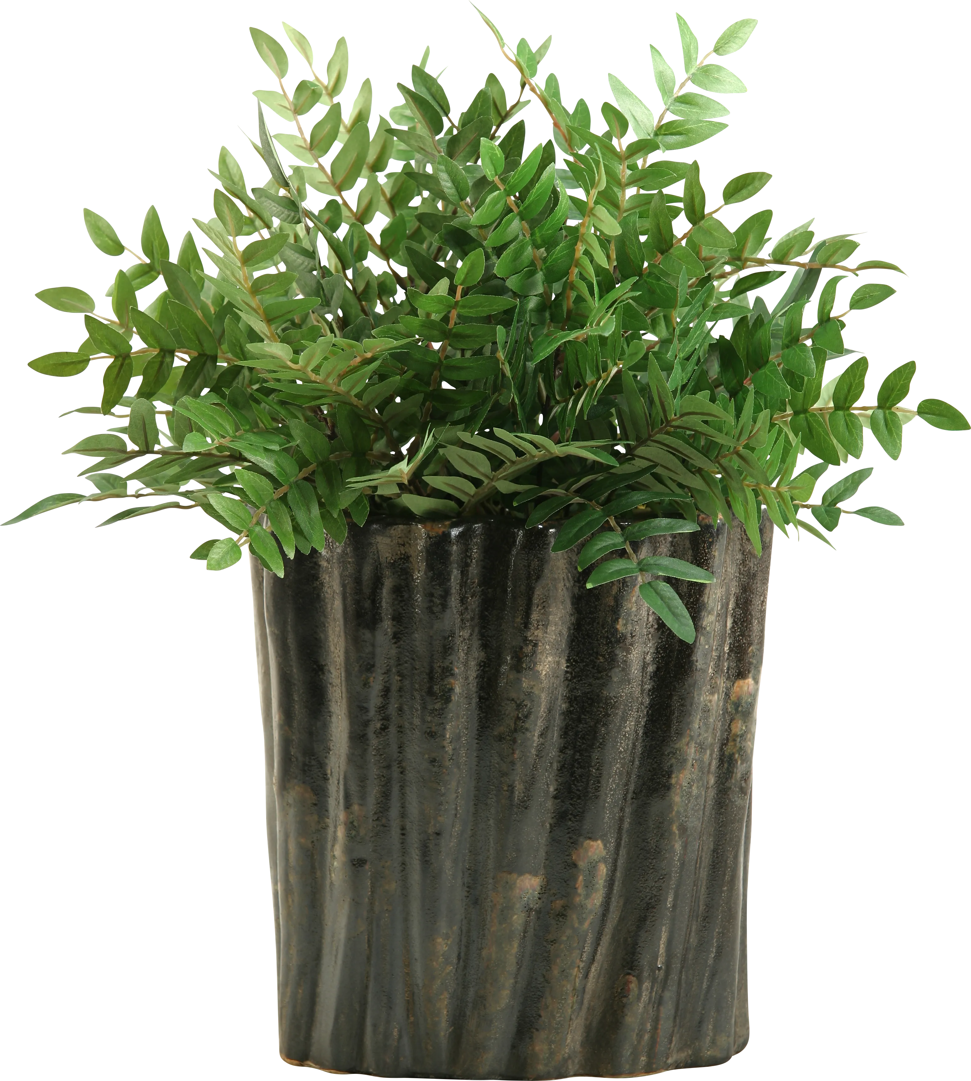 Kieryn Green Locust Large Silk Plant