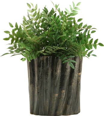 Kieryn Green Locust Large Silk Plant