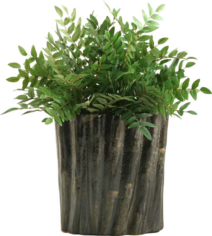 Kieryn Green Locust Large Silk Plant