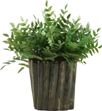 Kieryn Green Locust Medium Silk Plant