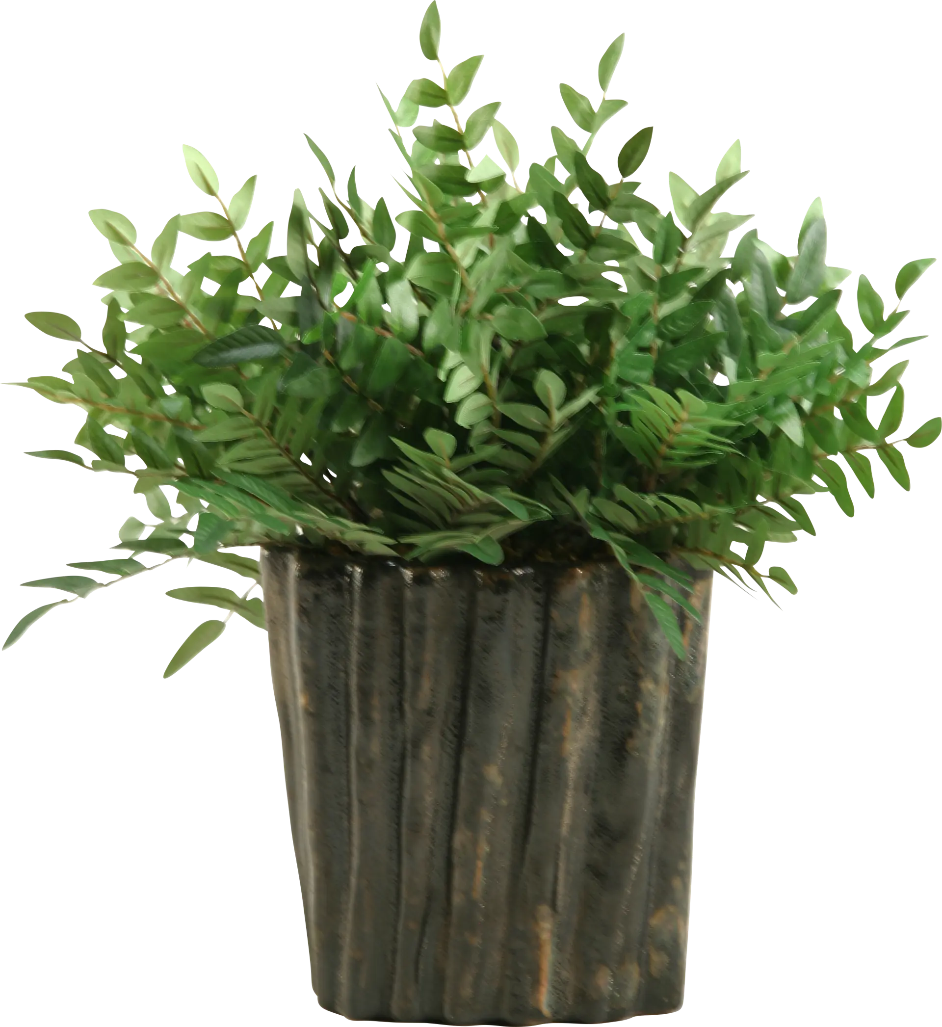 Kieryn Green Locust Medium Silk Plant
