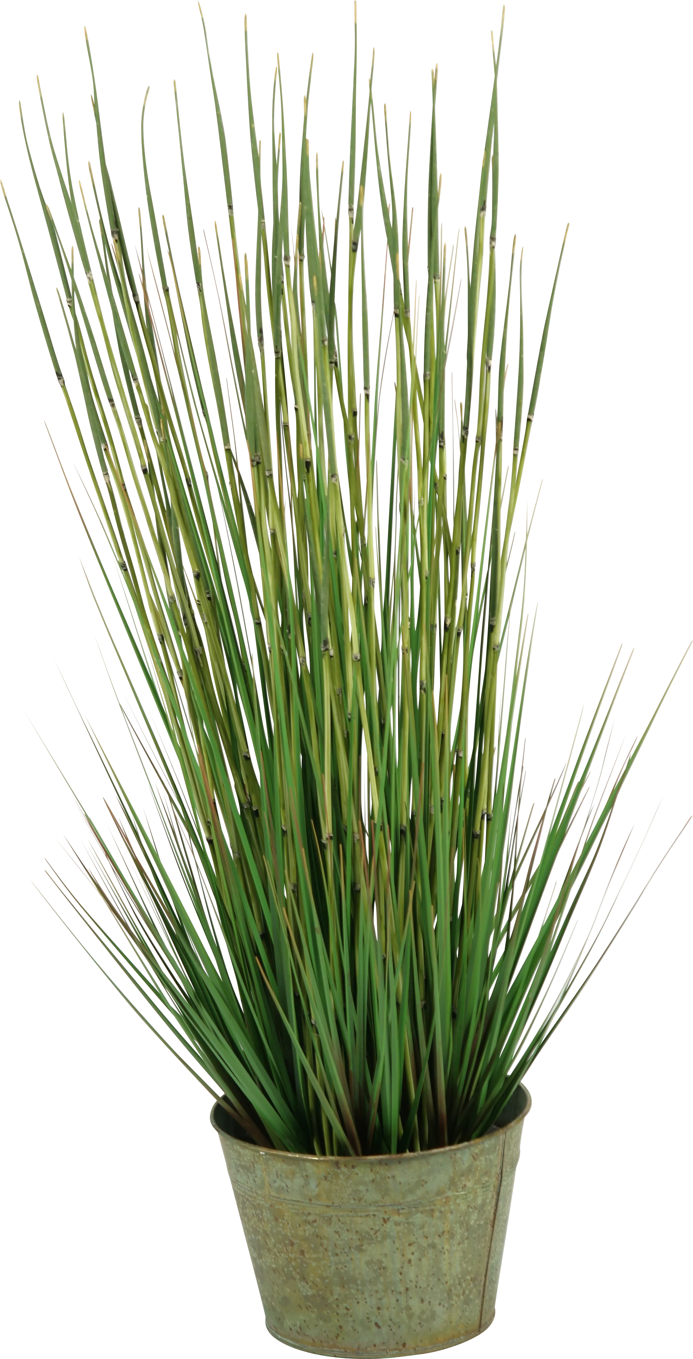 Aelyn Green Onion Grass Large Silk Plant - Thumbnail - Image 1
