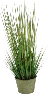 Aelyn Green Onion Grass Large Silk Plant