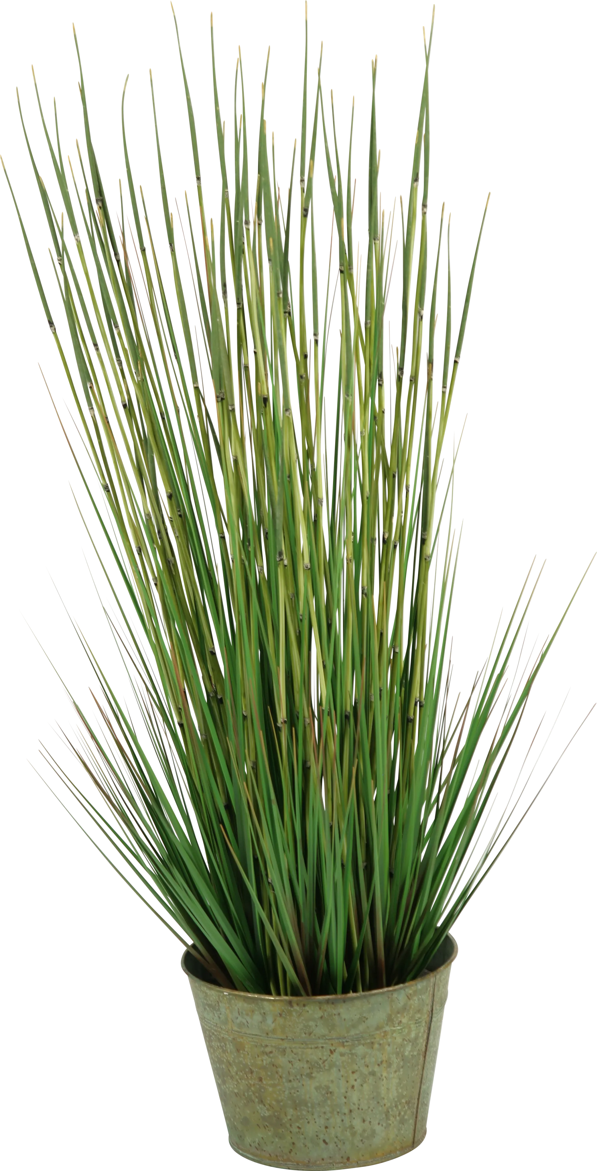 Aelyn Green Onion Grass Large Silk Plant - Image 1
