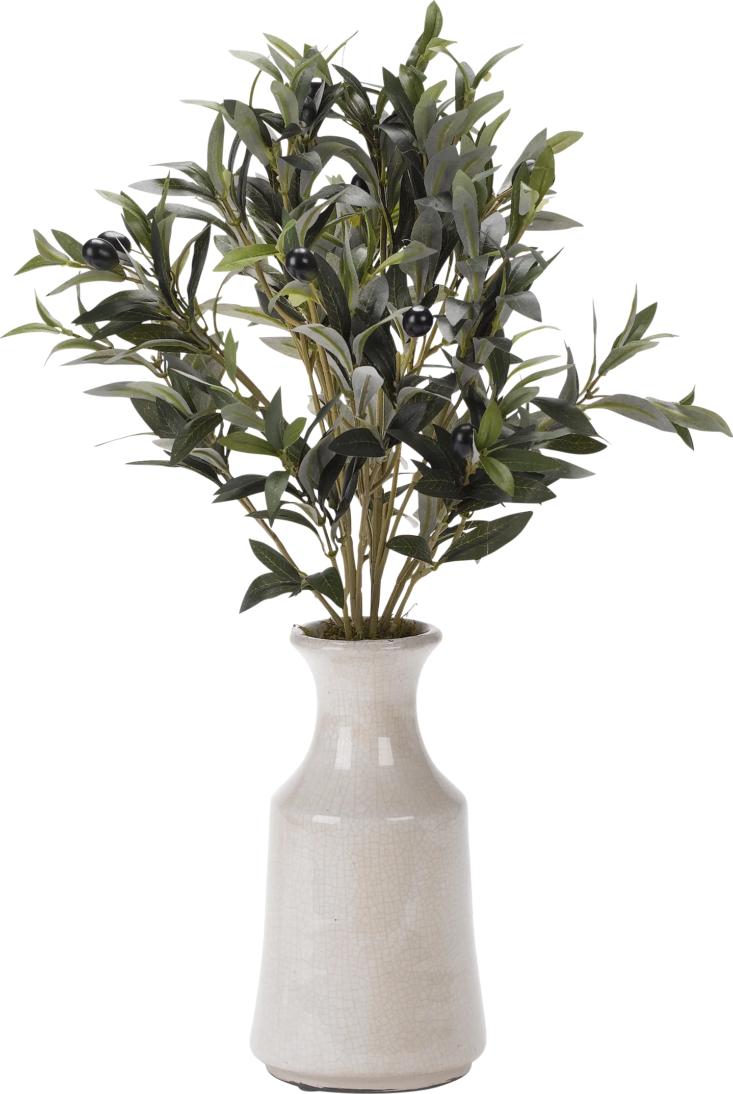 Leoma Green Olive Silk Plant - Thumbnail - Image 1