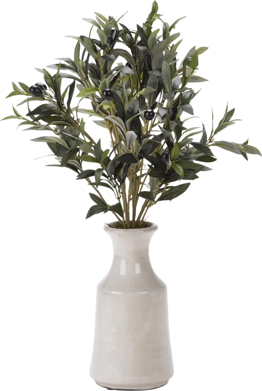 Leoma Green Olive Silk Plant